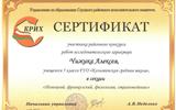 Сертификат Чижика 001